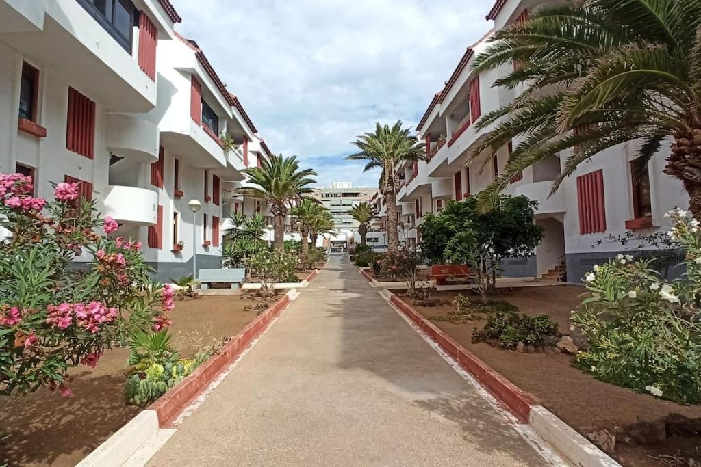 Altemar In Las Americas أرونا المظهر الخارجي الصورة